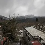 招待所 πατρικό